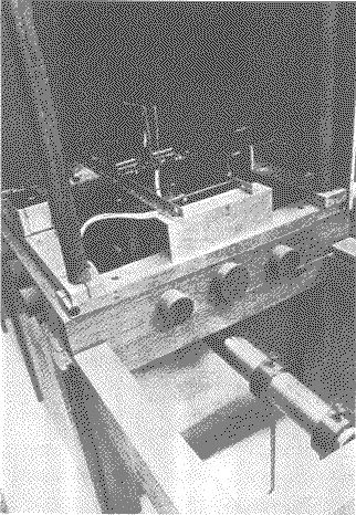 pesch3a.jpg