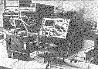pesch4a.jpg